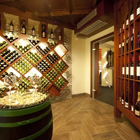 Hotell Jana Congress & Wellness Přerov