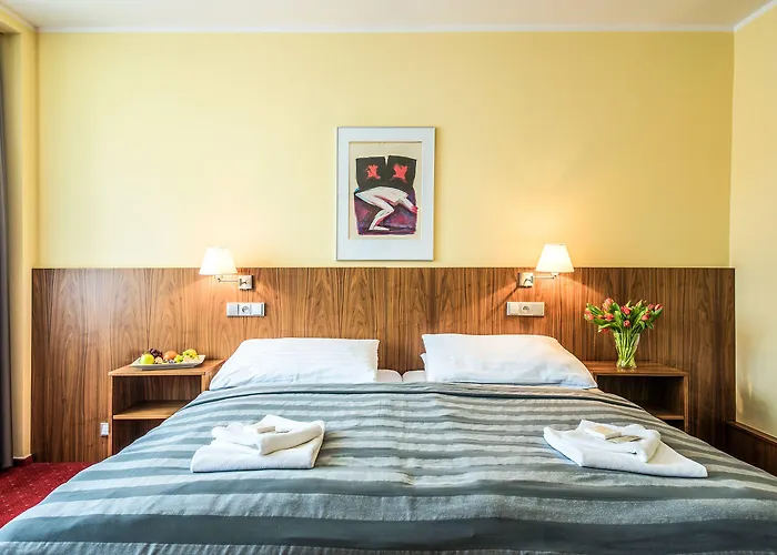 Jana Congress & Wellness 4*